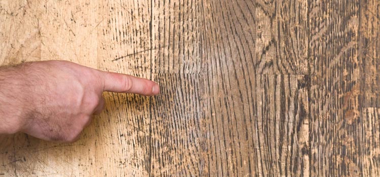 Wood Door Scratch Repair in Merced